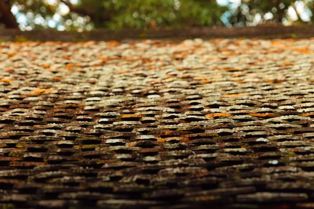 Aging shingle roof with moss growth and granule loss in Bloomington, IL